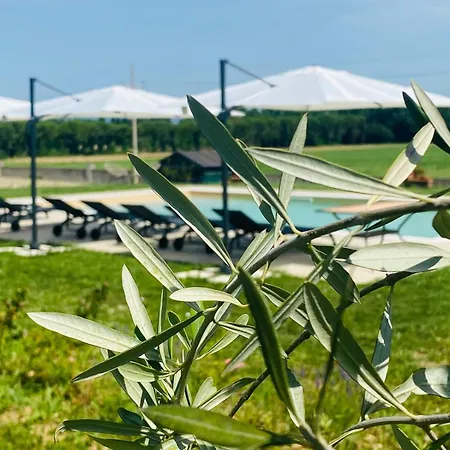 Vakantieboerderij Borgo Delle Rose