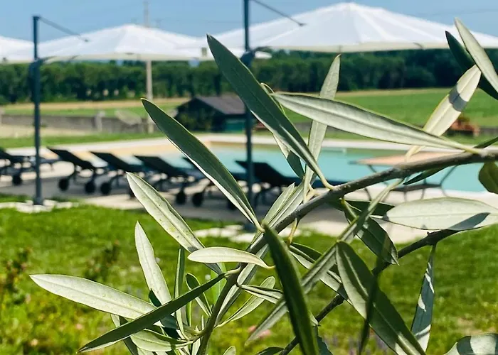 Farm stay Borgo Delle Rose